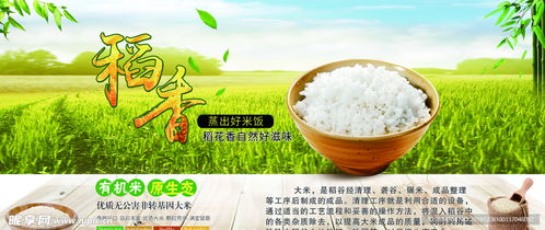 有機米 原生態(tài)、非轉(zhuǎn)基因的綠色餐桌選擇