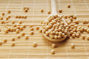 宜賓新聞網健康頻道 食品安全，從餐桌到人心